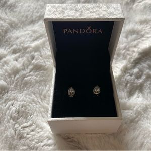 Pandora Earrings